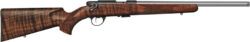 ANSCHUTZ 1710 HB AV SS 22LR - 18" S/S BBL THREADED CLASSIC
